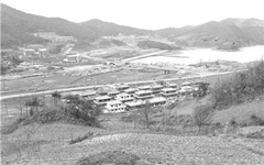 매지리 연세대학교 1983년