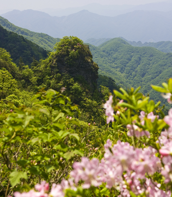 Chiaksan Mountain Namdaebong Peak