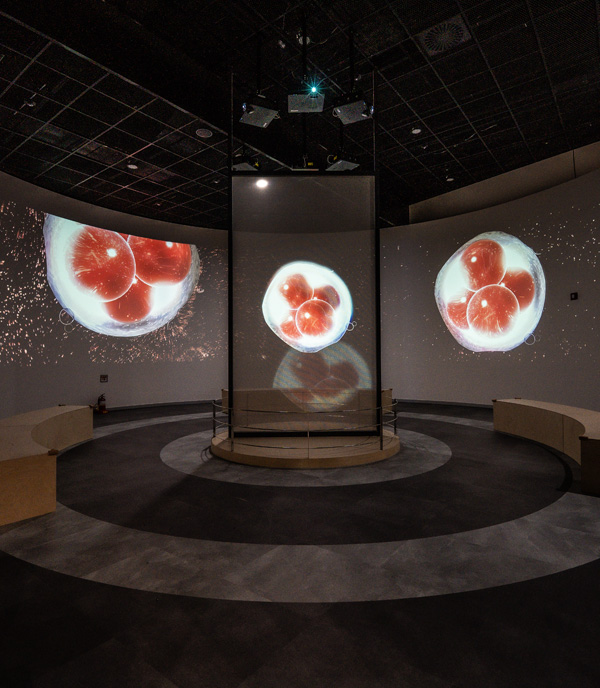 국립강원전문과학관 바이오코드2 사진