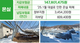 온실 재난보험 안내 이미지. 지급보험금은 147,801,475원이며, 2025년 1월 대설로 인한 온실 피해 사례를 소개함. 납입보험료(연간)는 정부지원 3,454,200원, 자부담 609,400원으로 표시됨. 아래에는 폭설로 무너진 온실 피해 현장 사진 2장이 포함되어 있음.