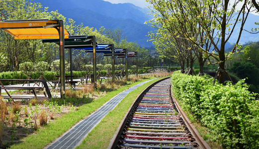 치악산 바람길숲